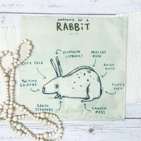 Cute Rabbit Anatomy Pillow
